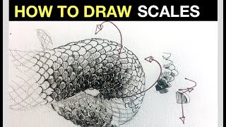 How to draw amp shade realistic scales  Line drawing tips [upl. by Eirdua]