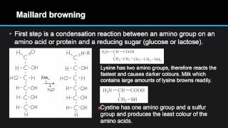 F46 Compare the two processes of nonenzymatic browning Maillard reaction and caramelization [upl. by Acnoib]