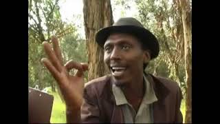 Eritrean comedy suzinino tafla and behabelom Trgum [upl. by Vocaay]