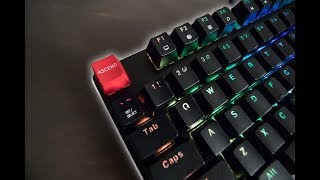 Glorious PC Gaming Race Modular TKL RGB Review [upl. by Kerrie]