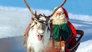 Renas de Papai Noel na Lapônia Finlândia 🦌🎅 Pai Natal vídeo para famílias Rovaniemi Santa Claus [upl. by Daniell]