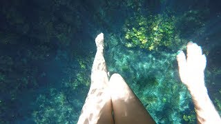 Carnival Paradise Cenote Hopping Excursion Cozumel [upl. by Fawcett]