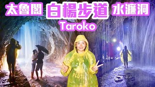 【花蓮景點】太魯閣「白楊步道」白楊吊橋、水濂洞  全程完整記錄  Taroko National Park Baiyang Trail [upl. by Frangos]