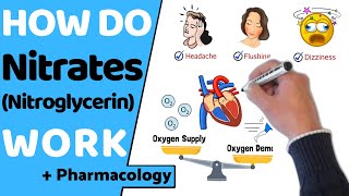 How Do Nitrates Work Nitroglycerin [upl. by Jobey]