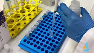 02  DNA Isolation from bacterial culture [upl. by Etnoved190]