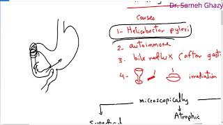 Systemic pathology 22  GIT 3  gastritis  DRSAMEH GHAZY [upl. by Mert]