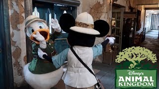 Disney Characters Go Crazy For Some Fun At Tusker House For Breakfast At Disneys Animal Kingdom [upl. by Fazeli]