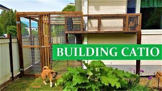 CATIO  CAT PATIO  CAT HOUSE  How to BUILD [upl. by Merrily]