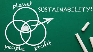 What is SUSTAINABILITY Explained By An Expert [upl. by Carin]