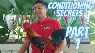 Part 1 Ang Sikreto Sa Pagkundisyon Ng Manok Panabong [upl. by Elatnahs]