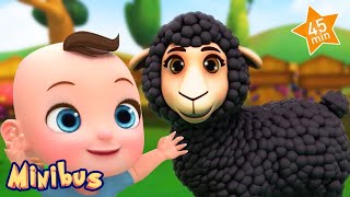 Baa Baa Black Sheep  More Nursery Rhymes amp Kids Songs  Minibus [upl. by Aidnac]