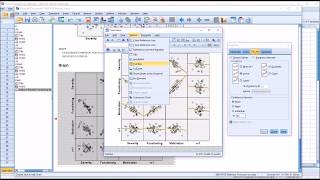 Creating and Interpreting a Scatterplot Matrix in SPSS [upl. by Neehcas160]