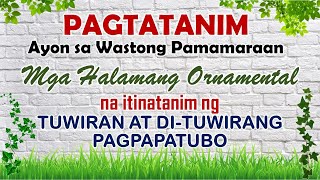 PAGTATANIM AYON SA WASTONG PAMAMARAAN MGA HALAMANG ORNAMENTAL SA TUWIRAN AT DITUWIRANG PAGPAPATUBO [upl. by Oruhtra727]