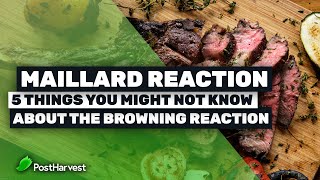 Maillard Reaction  5 Things You Might Not Know About The Browning Reaction [upl. by Lothario617]