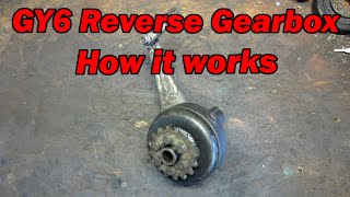 How a GY6 reverse gearbox works [upl. by Asil323]