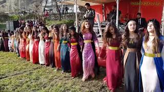 Kurdish Dance  Baile kurdo [upl. by Yerroc4]