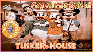 Magical Monday’s Character Dining At Tusker HouseDaisy Duck Being so Extra [upl. by Yelena]