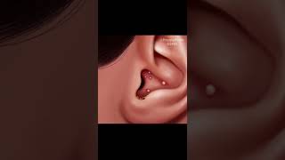 Ear Cleaning Wax Removal ASMR Animation [upl. by Ahsineg]