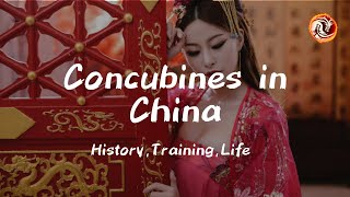 Concubines in China – History Training Life [upl. by Nilat]