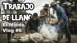 Cómo es un TRABAJO DE LLANO 🤠 Finca el Miedo Vlog 6 [upl. by Si]