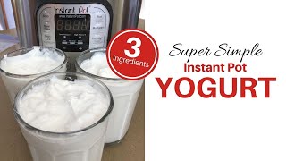 Super Simple Instant Pot Yogurt  3 Ingredients [upl. by Ahsiloc]