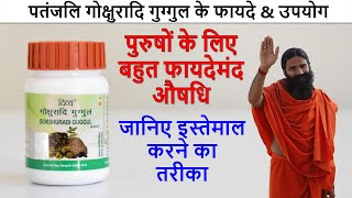 Patanjali Divya Gokshuradi Guggul Tablets Benefits amp Review in Hindi  फायदे और उपयोग [upl. by Atinob58]