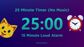 25 minute Timer Countdown No Music with Loud Alarm [upl. by Iover]