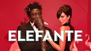 NK  ELEFANTE Official Video [upl. by Hasan]