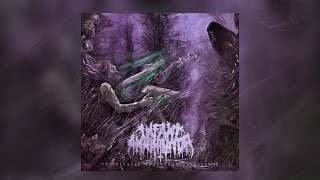 Infant Annihilator  The Elysian Grandeval Galèriarch OFFICIAL ALBUM STREAM W LYRICS [upl. by Brew]