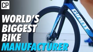 How Giant Became The Worlds Biggest Bike Company [upl. by Palla]