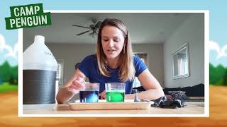 Kate the Chemist  Make a Bouncy Egg  Science Experiments for Kids [upl. by Annodahs]