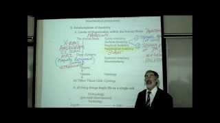 INTRO TO HUMAN ANATOMY by PROFESSOR FINK [upl. by Anyala445]