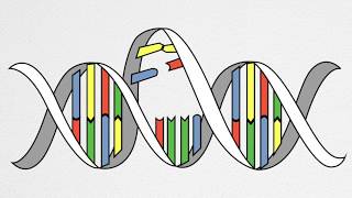 How UV Causes Cancer and Aging [upl. by Nynnahs371]