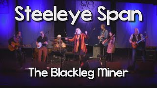 Steeleye Span  Blackleg Miner Live [upl. by Rehpotsyrk891]