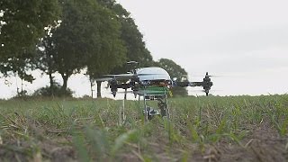 Technologie  des drones au service des agriculteurs  hitech [upl. by Nosnevets694]