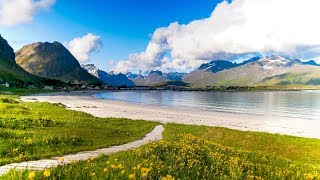 Uplifting Music  light positive happy music Gullrosøya  1 hour [upl. by Nich]