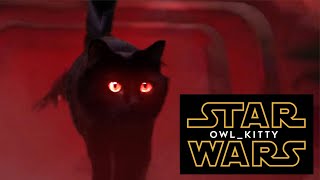 Star Wars  Starring my cat OwlKitty [upl. by Tavi]