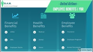 United Airlines Benefits  Your Benefits Resources YBR  Login  Register [upl. by Stephani]