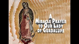 A Miracle Prayer to Our Lady of Guadalupe [upl. by Bolme]