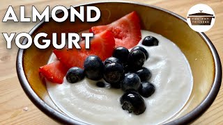 Vegan Almond Yogurt Recipe  How to Make Vegan Yogurt at Home [upl. by Darin]