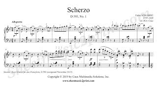 Schubert  Scherzo D 593 No 1 [upl. by Owiat363]