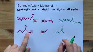 Butanoic Acid  Methanol  ESTER  water [upl. by Schlesinger894]