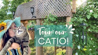 Chirpy Cats Catio Tour [upl. by Nealah]