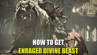 How to get Enraged Divine Beast Elden Ring [upl. by Gustin]