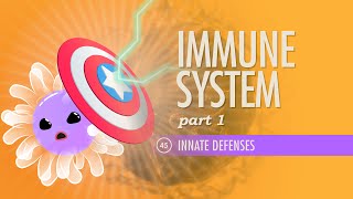 Immune System Part 1 Crash Course Anatomy amp Physiology 45 [upl. by Yelsa]