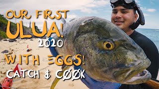 ULUA OmiluBluefin Trevally wEGGS SASHIMI amp SEARED  Catch and Cook  Spearfishing Hawaii [upl. by Polito]