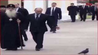 Russian Secret Service Pigeon SALUTES Vladimir Putin [upl. by Whit]