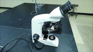 Compound Microscope Tutorial  Boston University Biology [upl. by Esinaej]