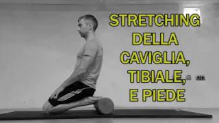 Stretching Parte 1 Caviglia Tibiale e Piede [upl. by Buckler339]