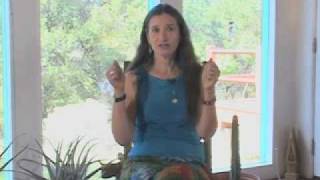 Shamanic Studies Basic Shamanic Journeying by Sandra Ingerman [upl. by Ahsetel]